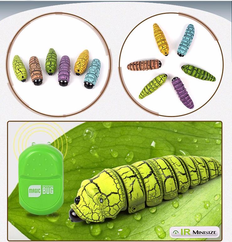 Insecto mágico - Imagen 2