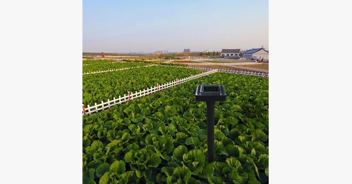 Protector de jardín solar ecológico - Imagen 2