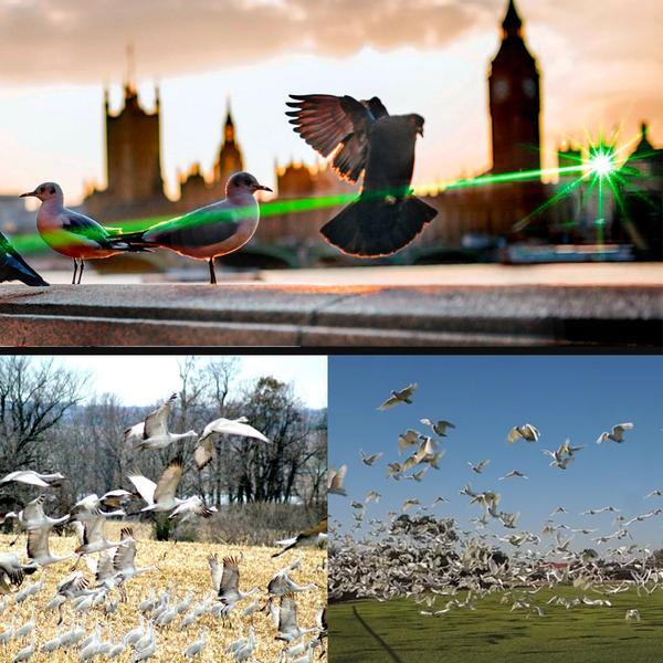 Antorcha láser repelente de pájaros ScareAway - Imagen 2