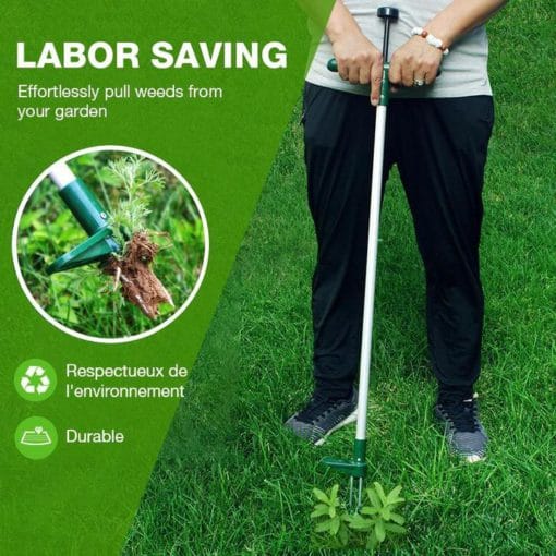 Herramienta para quitar raíces de plantas de pie